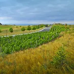 Club At Blacksearama Golf