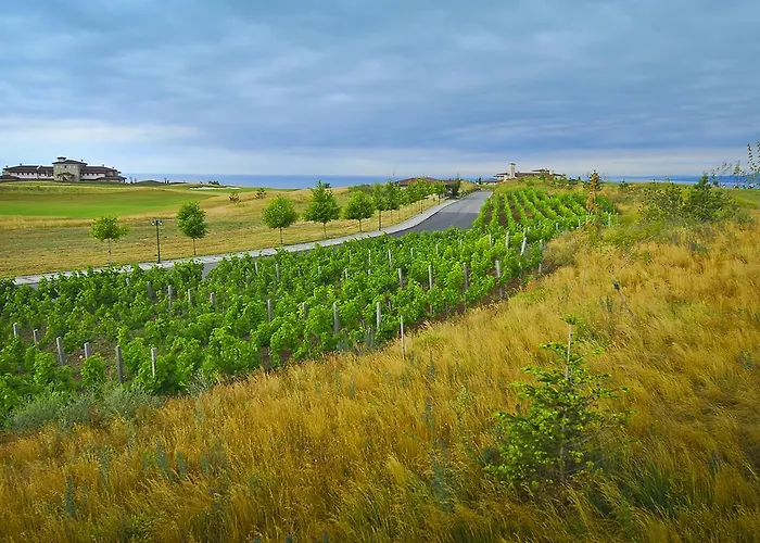 Club At Blacksearama Golf